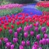 jaimescott0819